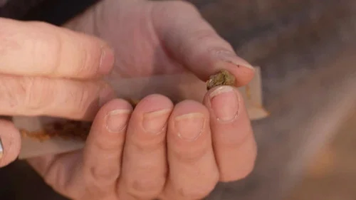 Cannabis, un paradoxe français