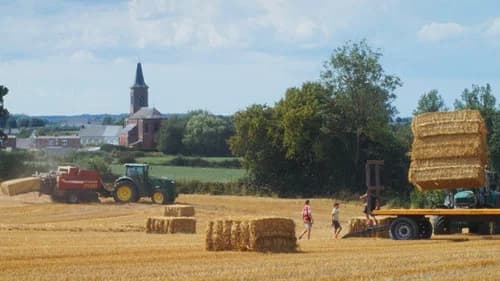 Un été à la ferme - L'âge d'or